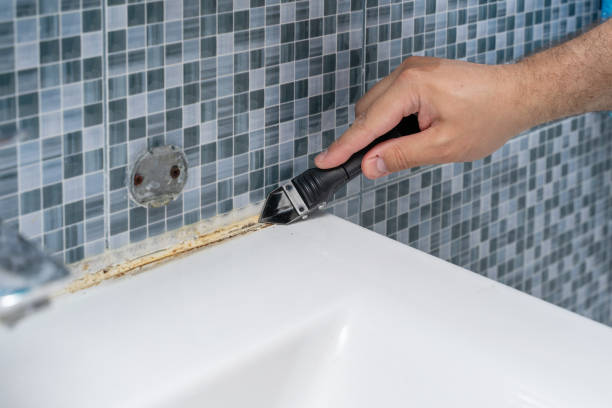 Best Office Mold Removal Services  in Camp Hill, PA